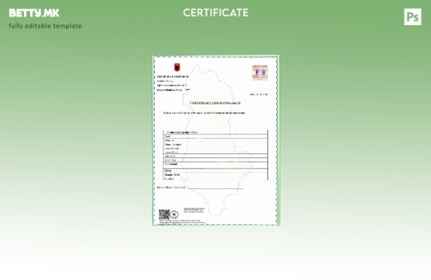 модерен стил Албанија Административна поделба Шаблон од извод од матична книга н